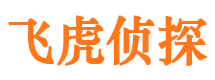 汪清市调查公司